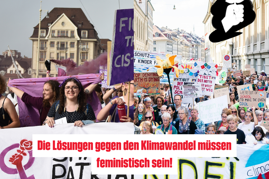 Die Lösungen gegen den Klimawandel müssen feministisch sein!