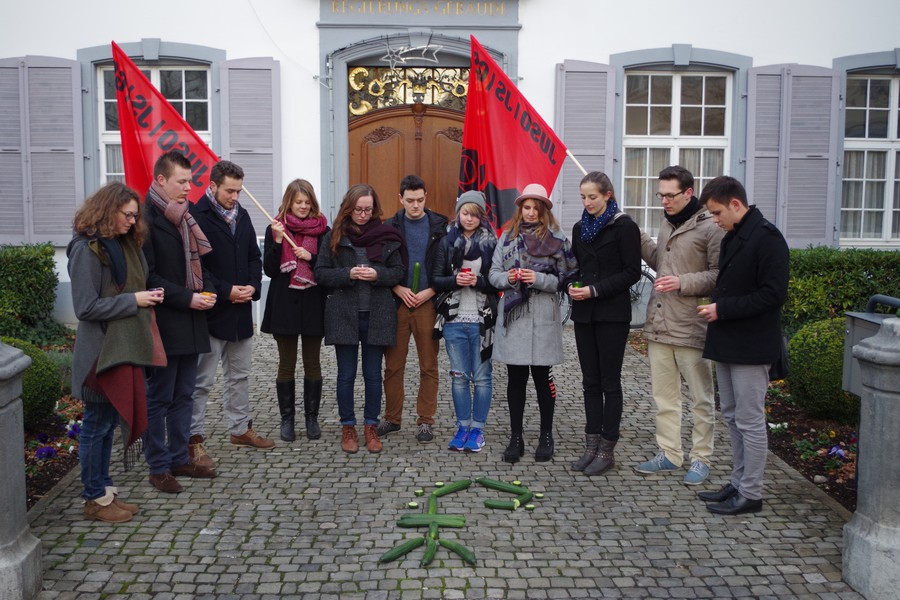 FDP möchte aus dem Staat Gurkensalat machen